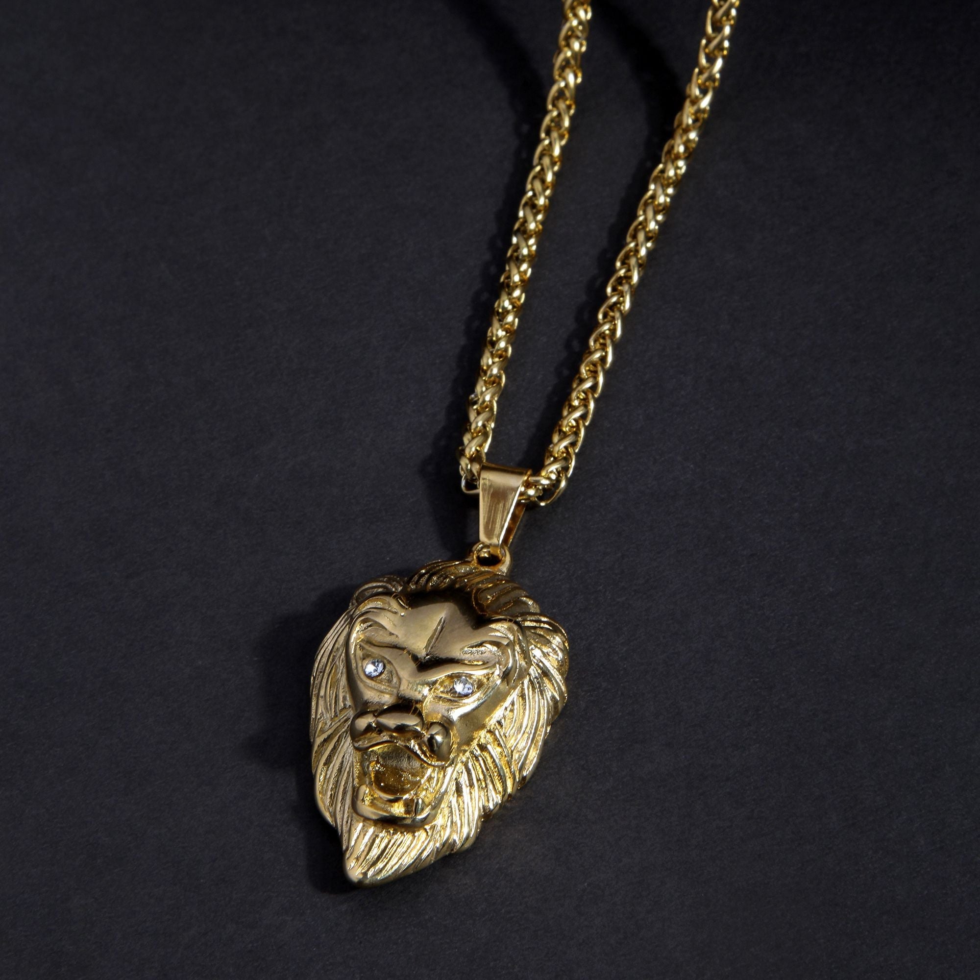 Lion Head Gold Rope Chain and Pendant Combo